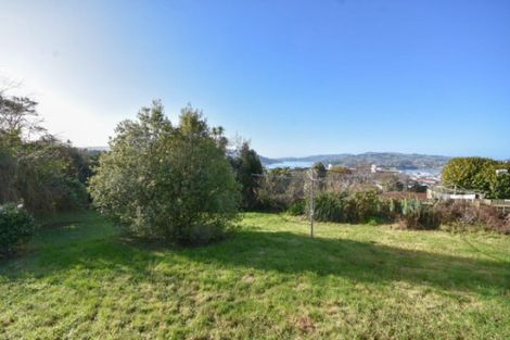 Photo of property in 8 Kirriemuir Street, Maryhill, Dunedin, 9011