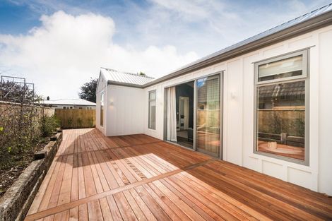 Photo of property in 117a Te Awe Awe Street, Hokowhitu, Palmerston North, 4410