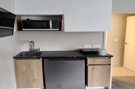 Photo of property in 212 Willis Street, Te Aro, Wellington, 6011