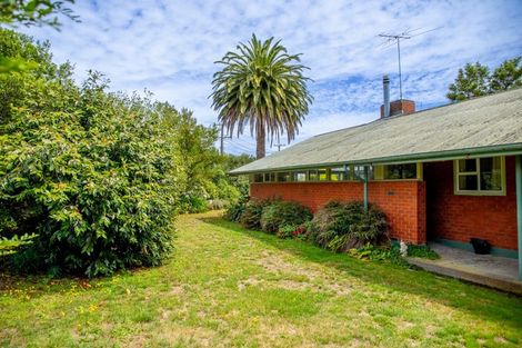 Photo of property in 63 Strasbourge Street, Martinborough, 5711