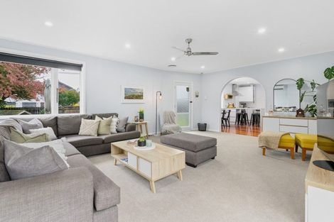 Photo of property in 143 Rimu Street, Maeroa, Hamilton, 3200