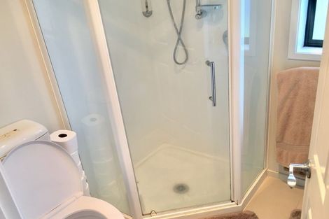 Photo of property in 3 Andrusha Place, Flat Bush, Auckland, 2019