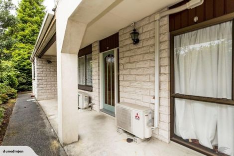 Photo of property in 36 Littlebourne Road, Roslyn, Dunedin, 9010