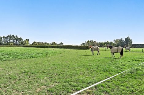 Photo of property in 139 Harmans Road, Leeston, 7682