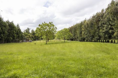 Photo of property in 136 Pohangina Valley Road East, Ashhurst, 4884