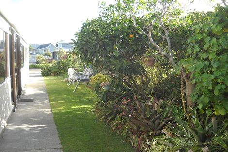 Photo of property in 423 Seaforth Road, Bowentown, Katikati, 3177