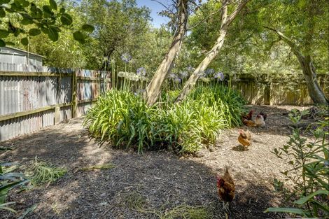 Photo of property in 186 Whirinaki Road, Eskdale, Napier, 4182