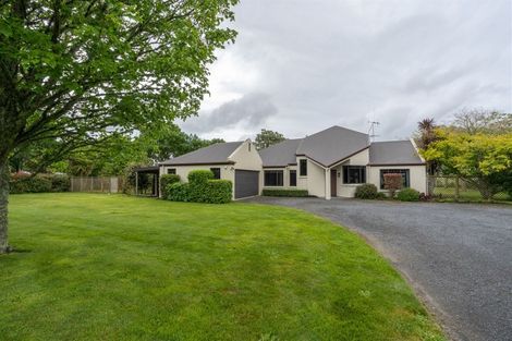 Photo of property in 237 Kaipaki Road, Ohaupo, 3881