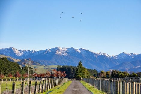 Photo of property in 61b Maungahau Road, Waingawa, Carterton, 5791