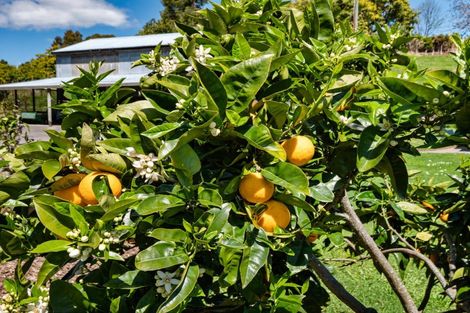 Photo of property in 26a Pahoia Road, Whakamarama, Tauranga, 3172