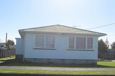 Photo of property in 8 Rata Street, Levin, 5510