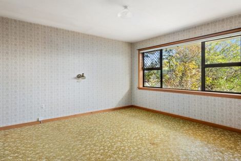 Photo of property in 43 Dillon Street, Blenheim, 7201