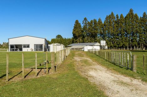 Photo of property in 1128d Omanawa Road, Omanawa, Tauranga, 3171