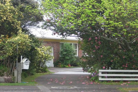 Photo of property in 6 Thames Road, Paeroa, 3600