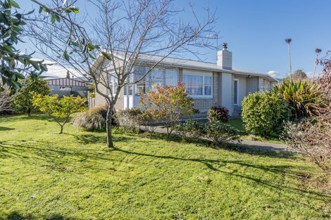 Photo of property in 43 Parsons Avenue, Levin, 5510