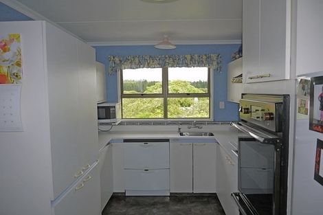 Photo of property in 22a Branxholm Street, Roxburgh, 9500