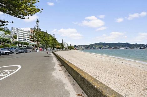 Photo of property in Clifton Towers, 202 Oriental Parade, Oriental Bay, Wellington, 6011