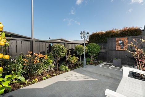 Photo of property in 10 Jacob Street, Brookfield, Tauranga, 3110
