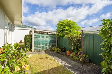 Photo of property in 12b Hayes Avenue, Gate Pa, Tauranga, 3112