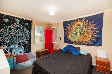 Photo of property in 44 Napier Road, Terrace End, Palmerston North, 4410
