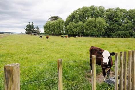 Photo of property in 552 Porewa Road, Marton, 4787