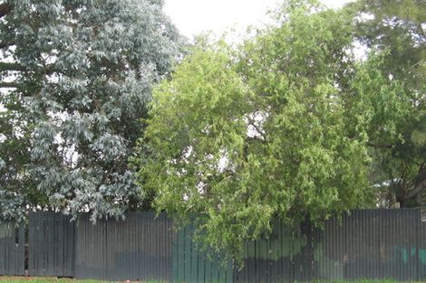 Photo of property in 4 Don Buck Road, Massey, Auckland, 0614