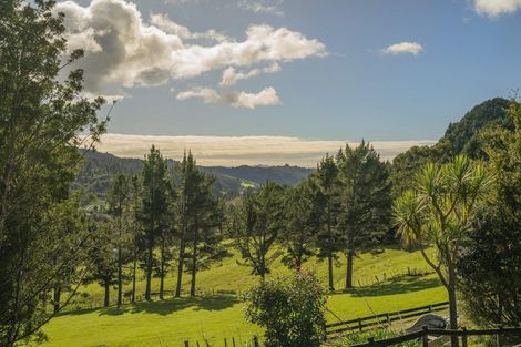 Photo of property in 555 Mill Creek Road, Kaimarama, Whitianga, 3591