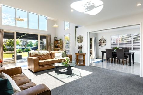 Photo of property in 50 Rogers Street, Blenheim, 7201