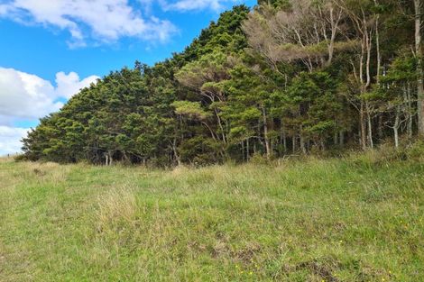 Photo of property in 304 Arapaoa Road, Tinopai, Matakohe, 0593