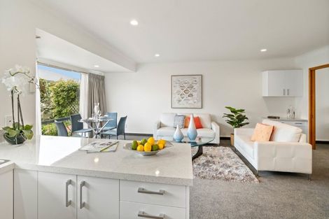 Photo of property in Bishop Selwyn Lifecare, 3/350 Selwyn Street, Addington, Christchurch, 8024