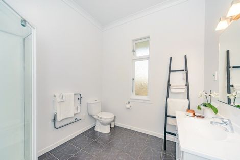 Photo of property in 20 Knowles Street, Terrace End, Palmerston North, 4410