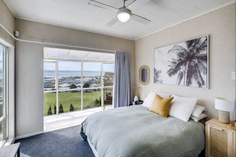 Photo of property in 30 Hospital Terrace, Hospital Hill, Napier, 4110