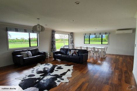 Photo of property in 381 Tararua Road, Levin, 5571