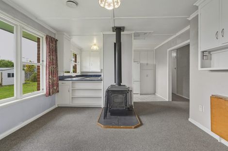 Photo of property in 36 Dryden Street, Milton, 9220