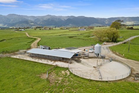 Photo of property in 661 Wardville Road, Wardville, Waharoa, 3474