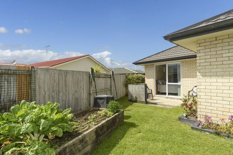 Photo of property in 68a Solomon Street, Brookfield, Tauranga, 3110