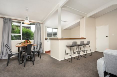 Photo of property in 38a Wylie Street, Gate Pa, Tauranga, 3112