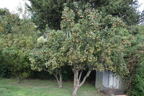 Photo of property in 8 Ryan Street, Portobello, Dunedin, 9014