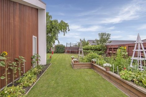 Photo of property in 19 Goh Street, Lincoln, 7608