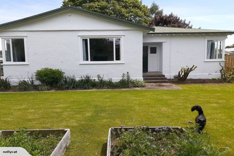 Photo of property in 25 Campbell Street, Geraldine, 7930