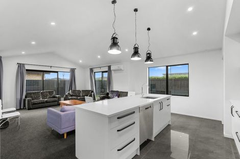 Photo of property in 60 Anaru Road, Lincoln, 7608