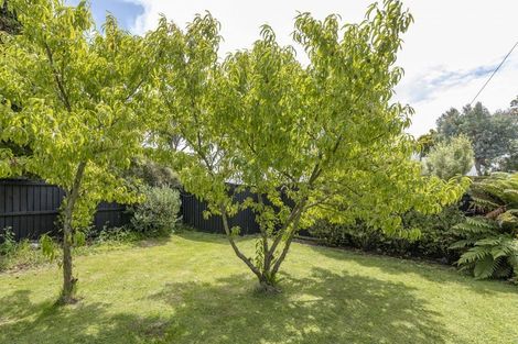 Photo of property in 12a Cradock Street, South New Brighton, Christchurch, 8062