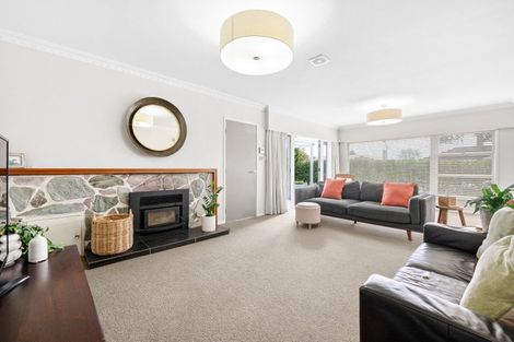 Photo of property in 22 Scott Avenue, Hamilton East, Hamilton, 3216