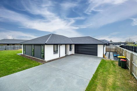 Photo of property in 3 Roxburgh Place, Tinwald, Ashburton, 7700