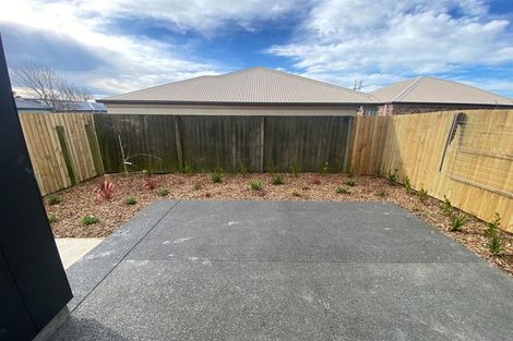 Photo of property in 5/9 Milton Street, Somerfield, Christchurch, 8024