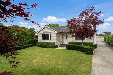 Photo of property in 46 Bowen Street, Cambridge, 3434