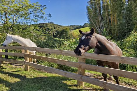 Photo of property in 389 Takahiwai Road, Takahiwai, Whangarei, 0171