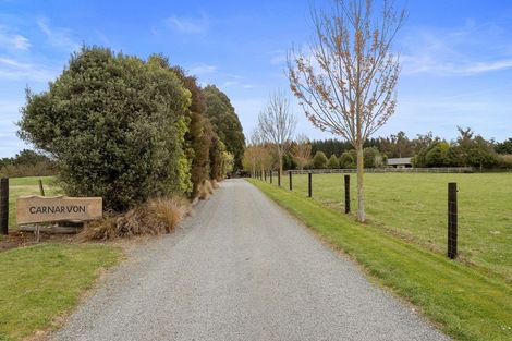Photo of property in 167 Marshmans Road, Ashley, Rangiora, 7477