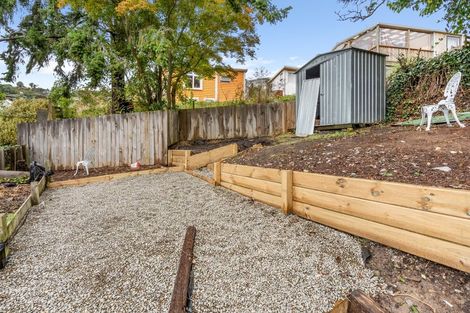 Photo of property in 12 Burnett Street, Calton Hill, Dunedin, 9012