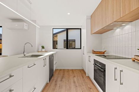 Photo of property in 101 Warden Street, Richmond, Christchurch, 8013